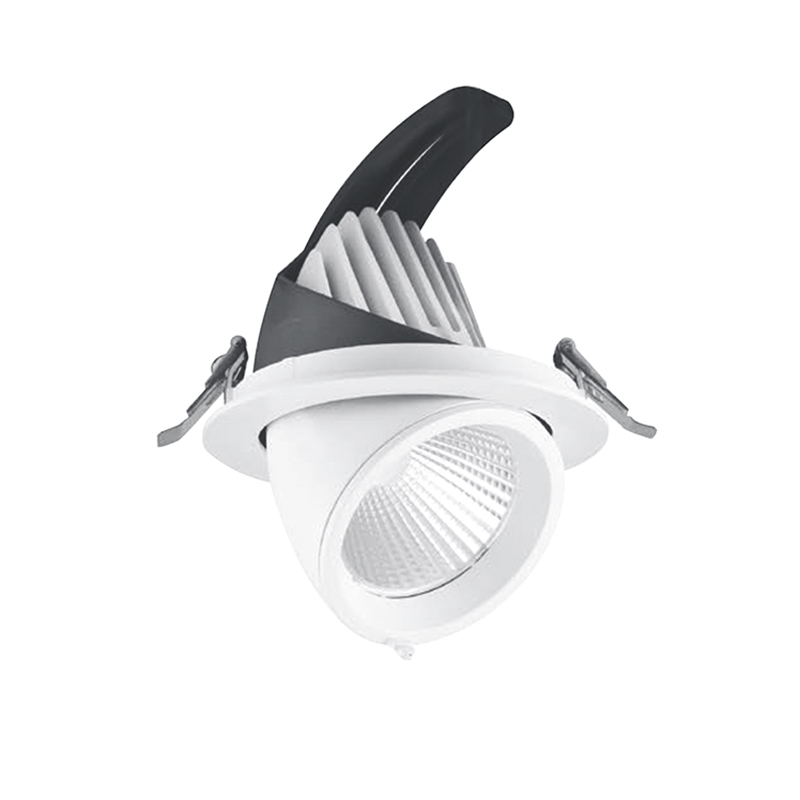 Commercial Downlight