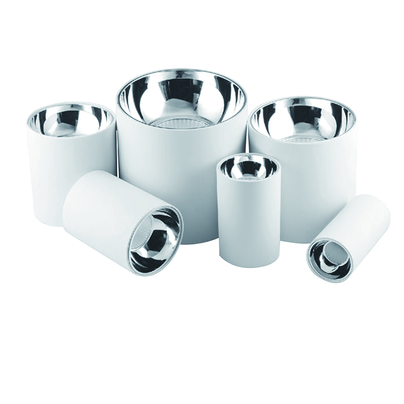 Commercial Downlight