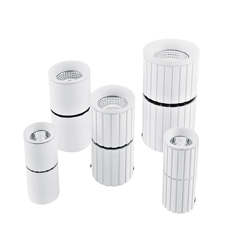 Commercial Downlight